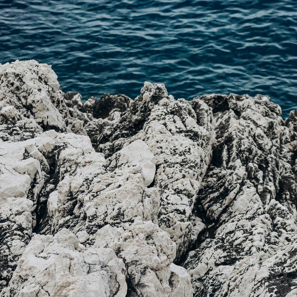 Commitment to the environment